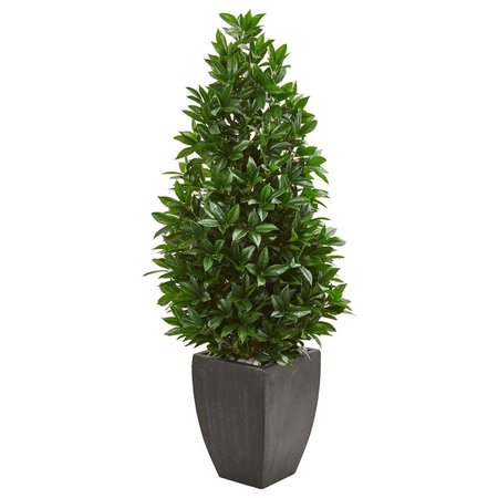 NEARLY NATURALS 56 in. Bay Leaf Cone Topiary Artificial Tree in Black Planter 9372